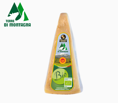Parmigiano Reggiano Biologico 24 mesi - Armonico